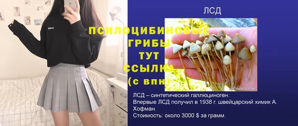 прущие крисы Армянск