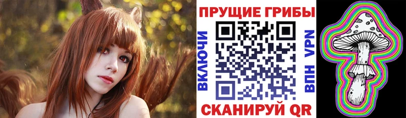 Псилоцибиновые грибы прущие грибы  сайты даркнета состав  Исилькуль 